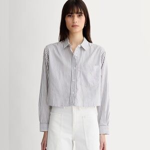 Everlane Blue and White Striped Button Down Shirt